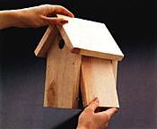 click on image to enlarge