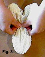 washcloth fish fig. 3