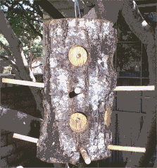 Log Bird Feeder