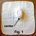 washcloth fish fig. 1