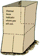 back view of backpack